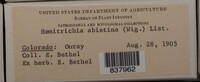 Image Associated With the Occurence